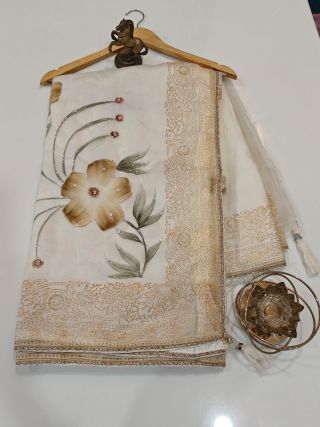 white organza saree